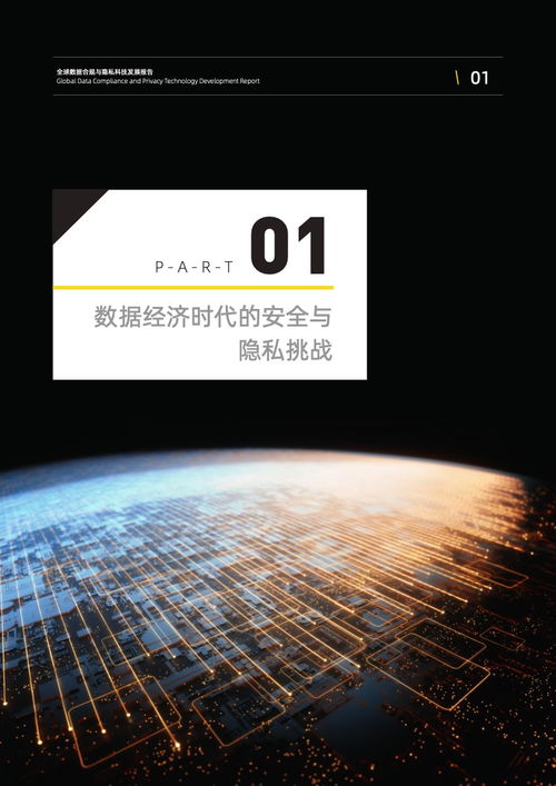 2022全球數(shù)據(jù)合規(guī)與隱私科技發(fā)展報(bào)告—技術(shù)開(kāi)發(fā)篇